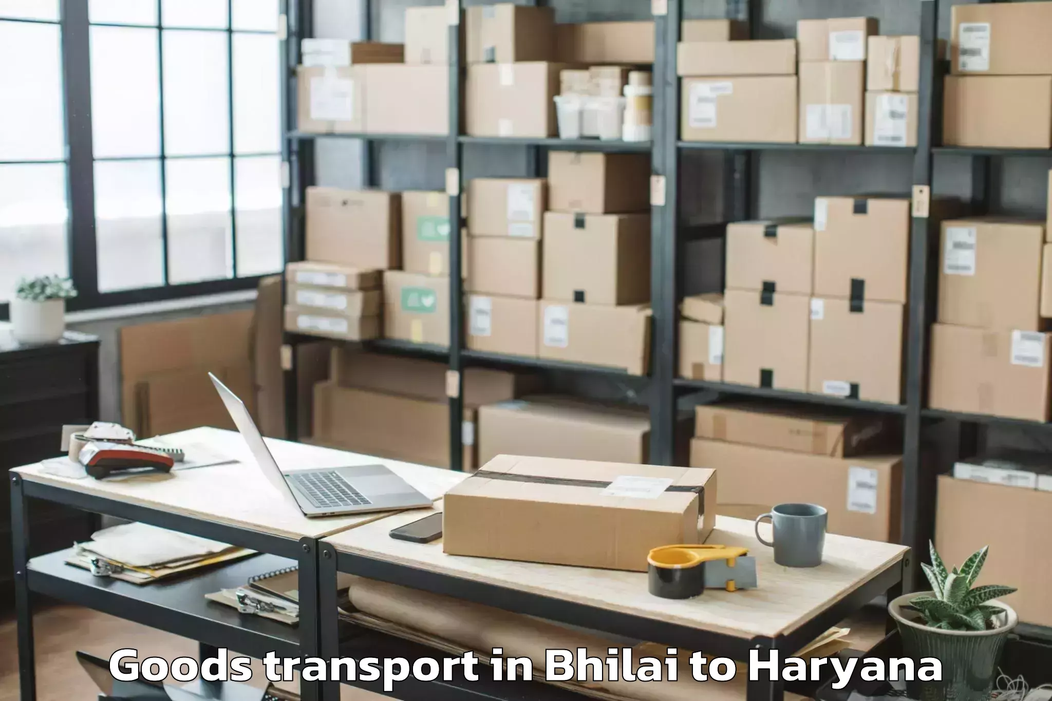 Discover Bhilai to Srs Mall Faridabad Goods Transport